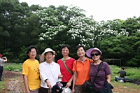 IMG_9863.JPG