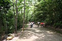 IMG_9871.JPG