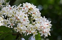 IMG_9885.JPG