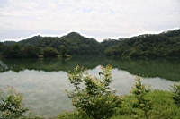 IMG_9899.JPG