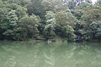 IMG_9902.JPG