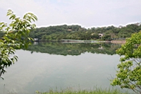 IMG_9904.JPG