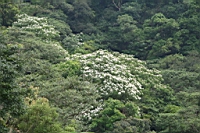 IMG_9914.JPG