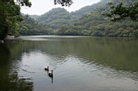 IMG_9973.JPG