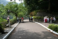 IMG_9978.JPG
