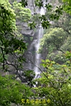 IMG_0128.JPG