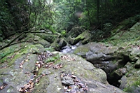 IMG_0142.JPG