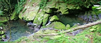 IMG_0146M.JPG