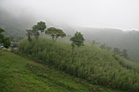 IMG_0174.JPG