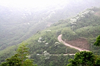 IMG_0176.JPG