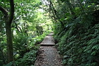 IMG_3714.JPG