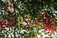 IMG_3717.JPG