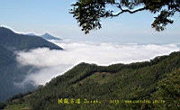 IMG_4220.JPG