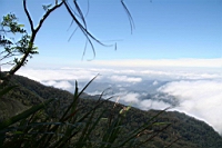 IMG_4235.JPG