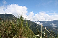 IMG_4251.JPG