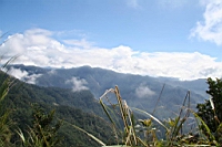 IMG_4252.JPG