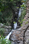 IMG_4269.JPG