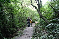 IMG_4293.JPG
