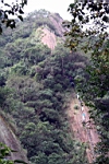 IMG_4295.JPG