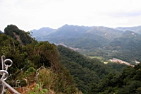 IMG_4325.JPG