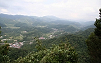 IMG_4332.JPG