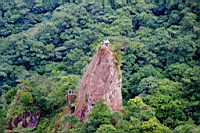 IMG_4335.jpg