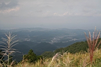 IMG_4342.JPG