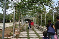 IMG_4400.JPG