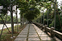 IMG_4405.JPG