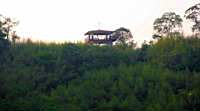 IMG_4432.JPG