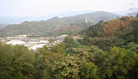 IMG_4434.JPG