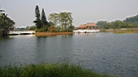 IMG_4564.JPG