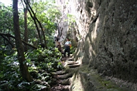 IMG_4626.JPG