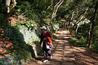 IMG_4649.JPG