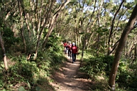IMG_4651.JPG