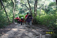 IMG_4653.JPG