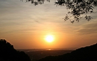 IMG_4656.JPG