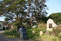 IMG_4663.JPG