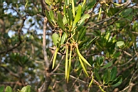 IMG_4669.JPG