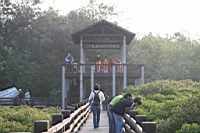 IMG_4675.JPG