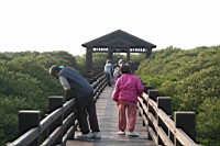 IMG_4676.JPG