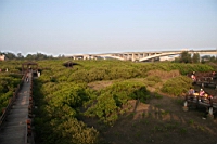 IMG_4678.JPG