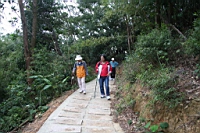 IMG_4687.JPG