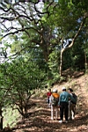 IMG_4688.JPG