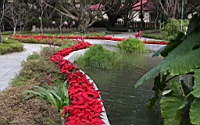 IMG_4756.JPG