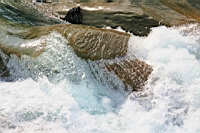 IMG_4793.JPG
