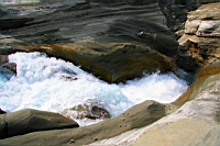 IMG_4794.JPG