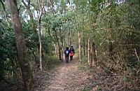 IMG_4822.JPG
