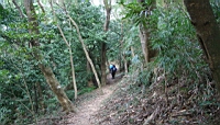 IMG_4823.JPG