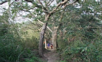 IMG_4825.JPG